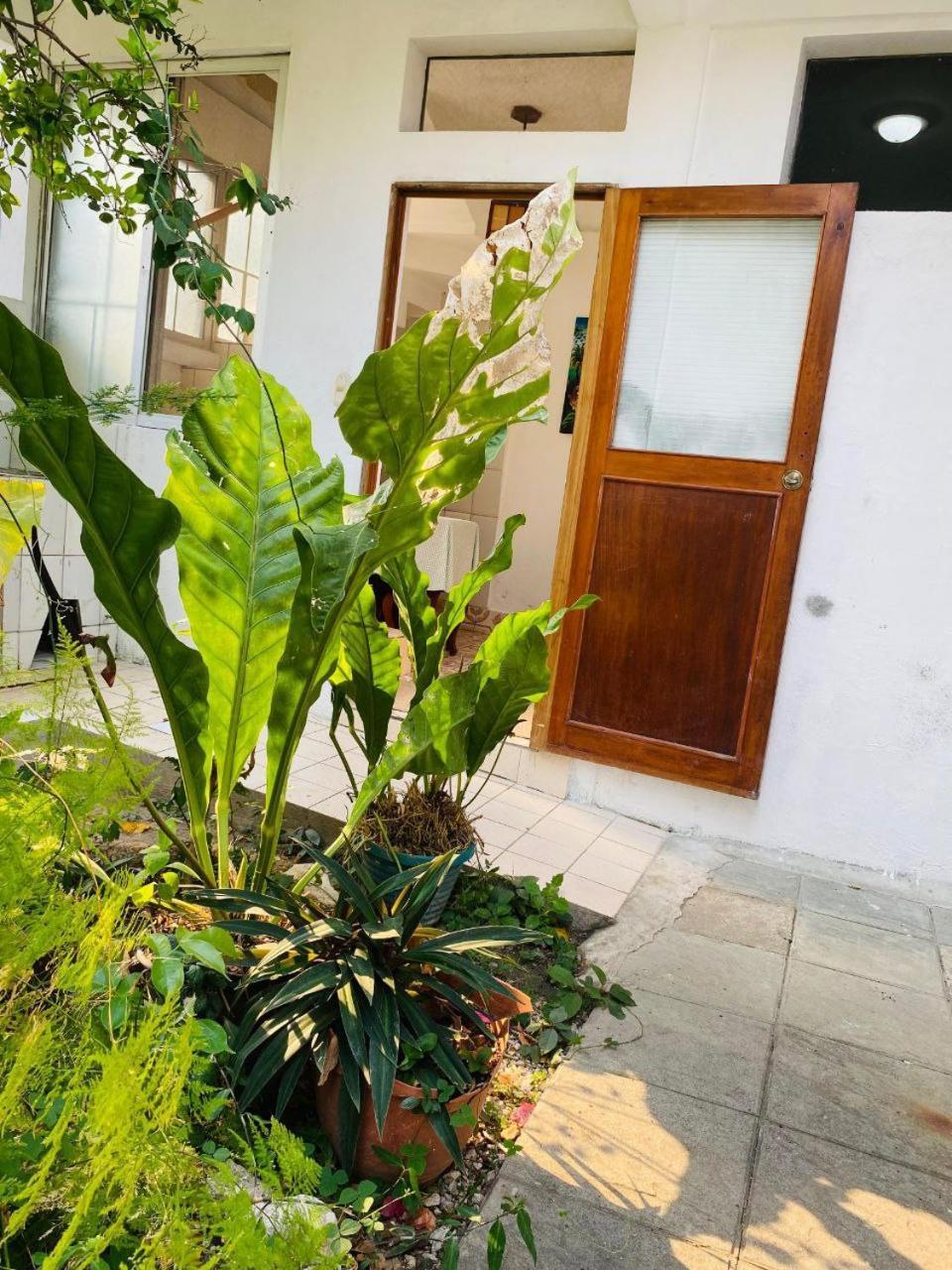 Hotel Casa Mima Flores Exterior foto